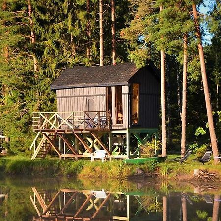 Dragon House In The Tree! Jacuzzi, Sauna ,Cinema,Heated Lici  Экстерьер фото