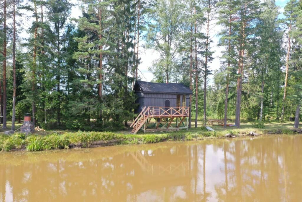 Dragon House In The Tree! Jacuzzi, Sauna ,Cinema,Heated Lici  Экстерьер фото